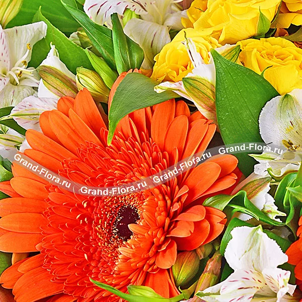 Я всегда с тобой! - букет из гербер и альстромерий (акционное предложение)